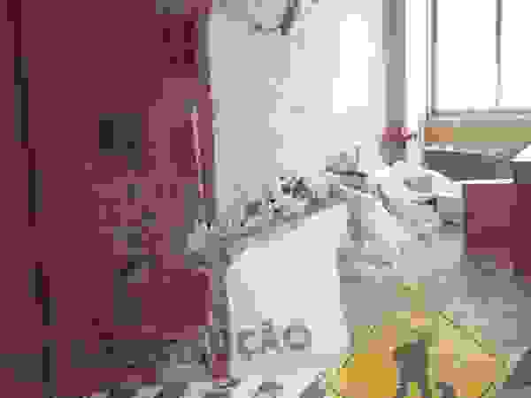 ObraZen