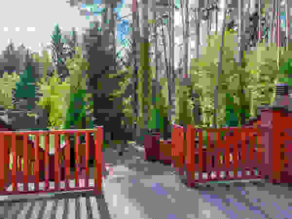 ПАН Ландшафт Сад