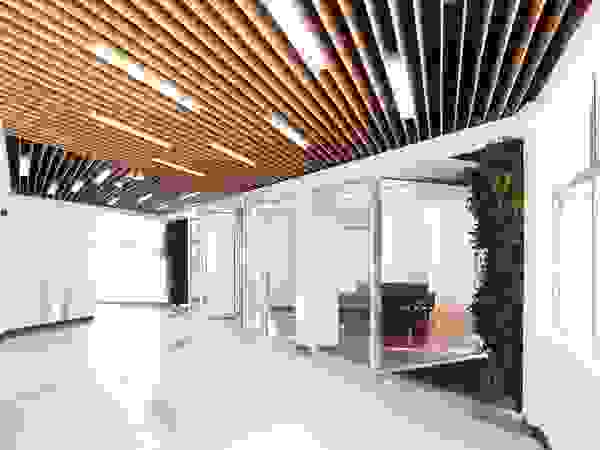 ip-archtist