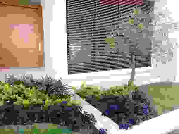 Verde Lavanda Front yard Multicolored