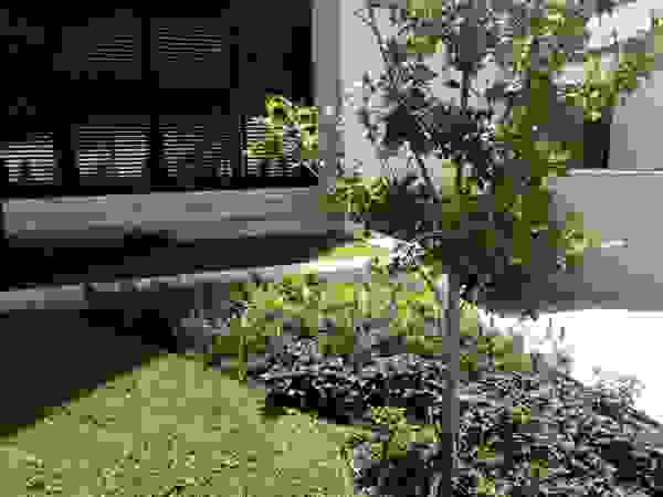 Verde Lavanda Front yard Multicolored