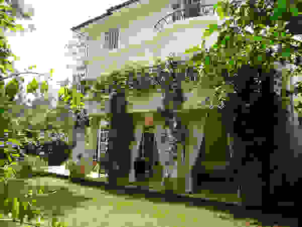 Lúmina Home Staging Garden Plants & flowers Green