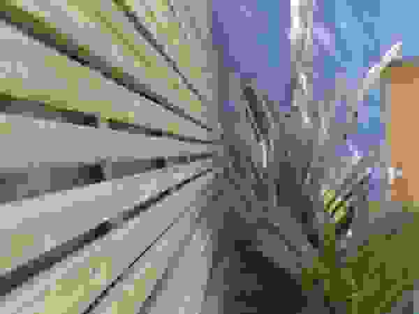 Ecossistemas Modern garden