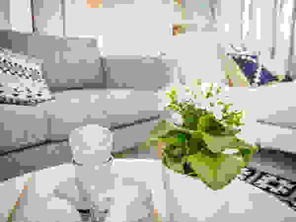 Querido mudei a casa episódio#2402 Homestories Salas de estar escandinavas