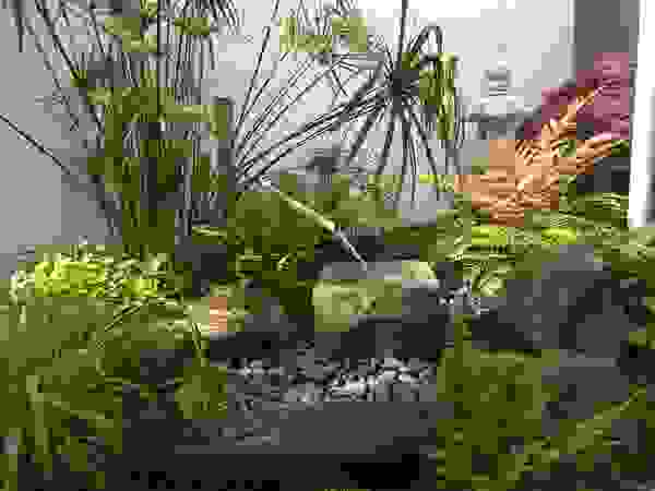 Jardines Japoneses -- Estudio de Paisajismo Zen garden