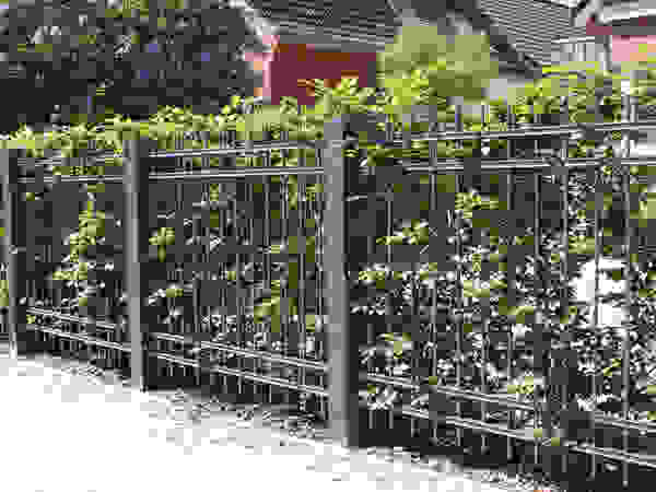 Nordzaun Halaman depan Besi/Baja Grey