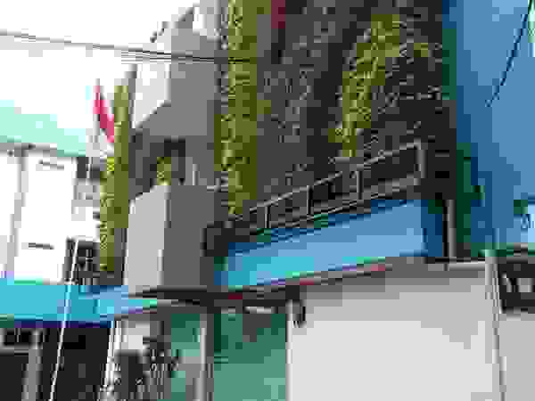 Dua Putra Landscape Modern Garden