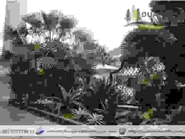 Dua Putra Landscape Front yard