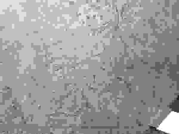 Bautech Sp. Z O.O. Floors Concrete Grey