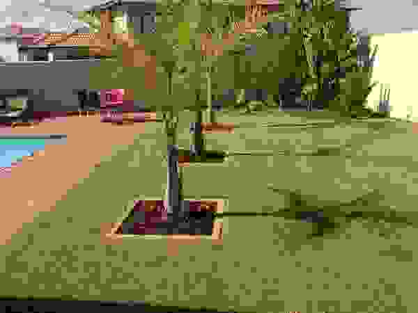EPR HOLDINGS Modern Garden