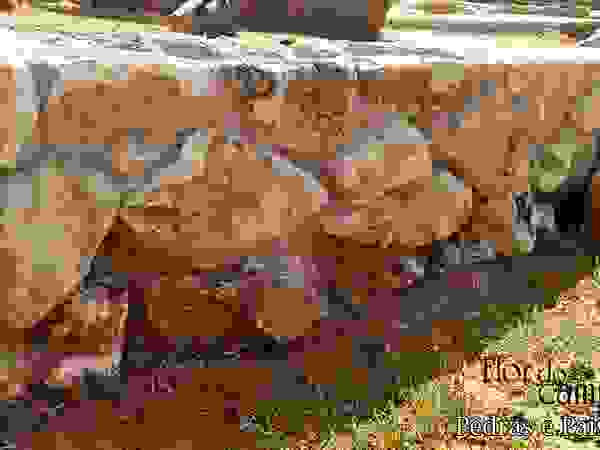 Flor do Campo Pedras e Paisagismo Rustic style walls & floors