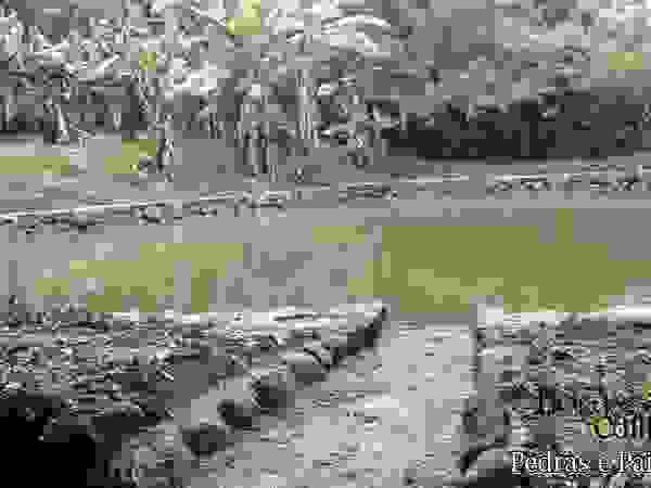 Flor do Campo Pedras e Paisagismo Garden Swim baths & ponds