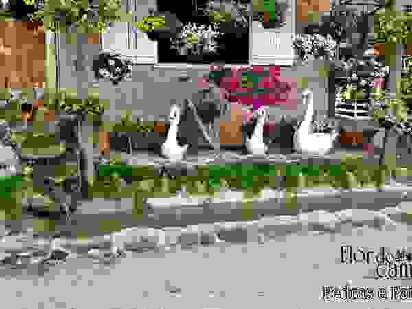 Flor do Campo Pedras e Paisagismo Garden Swim baths & ponds