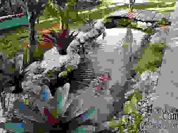 Flor do Campo Pedras e Paisagismo Garden Swim baths & ponds