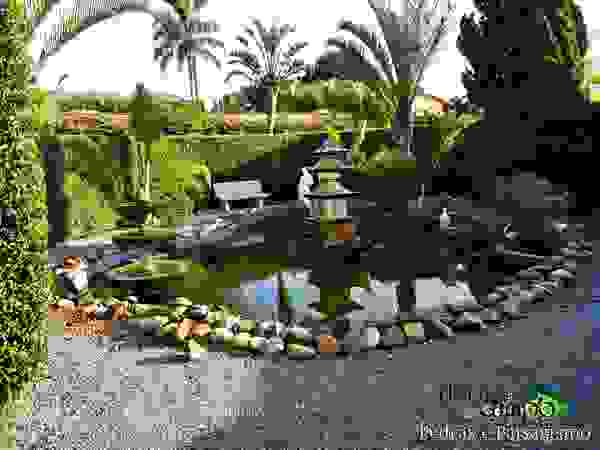 Flor do Campo Pedras e Paisagismo Garden Swim baths & ponds