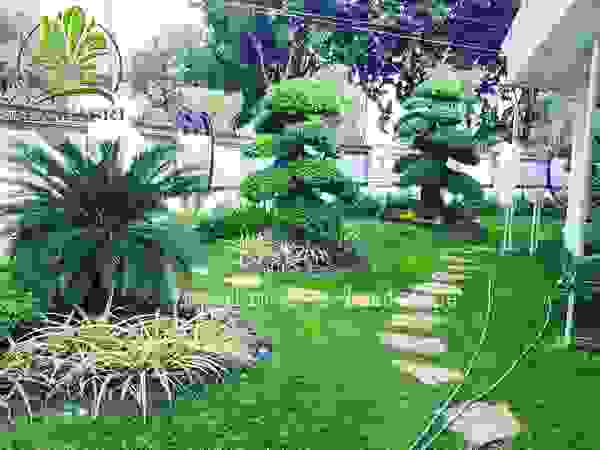 Alam Asri Landscape Front yard Wood Green