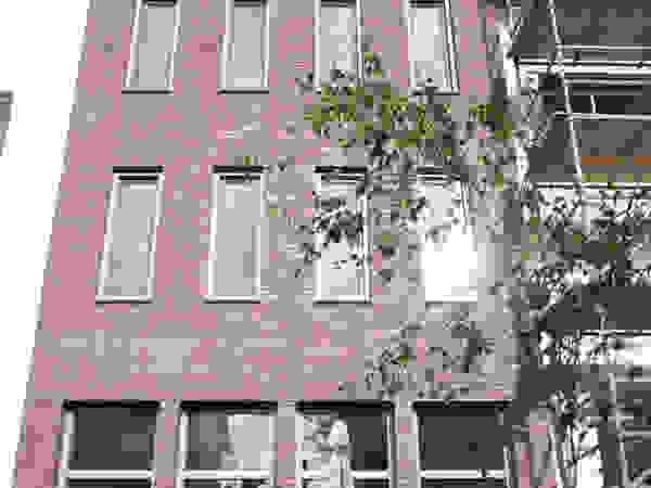 TEKTON architekten Modern Garden