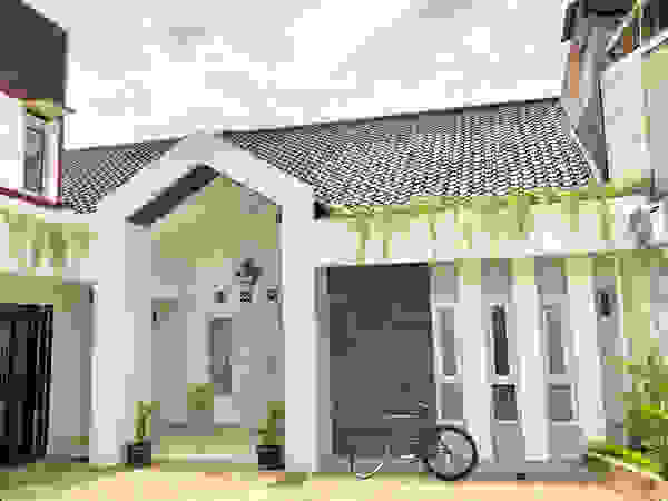 Studié