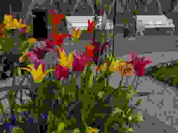 groenpartners Country style garden