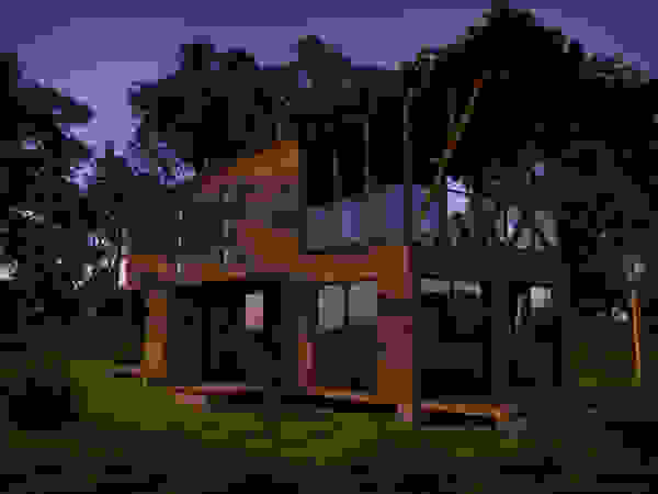 CrimsonViz
