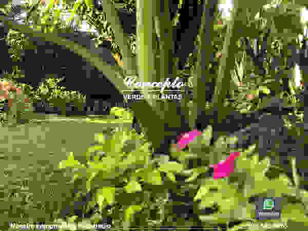 Productores de plantas Concepto Verde Сад