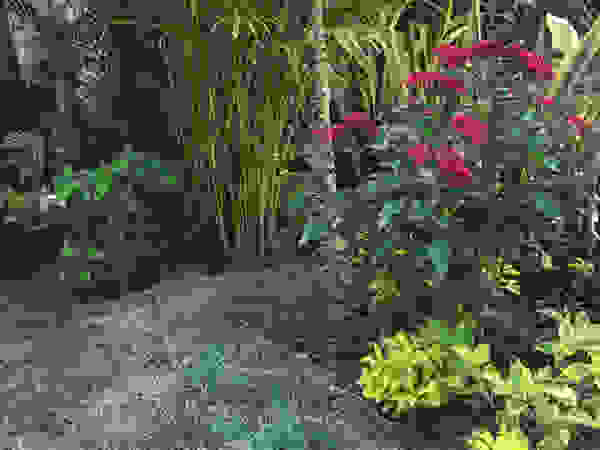 Productores de plantas Concepto Verde Сад