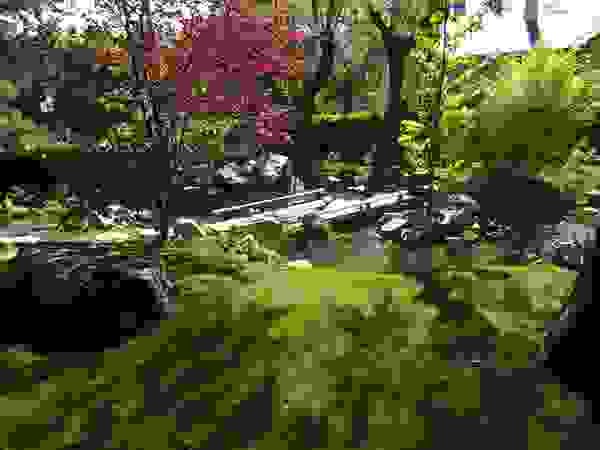 Jardines Japoneses -- Estudio de Paisajismo Пруд в саду