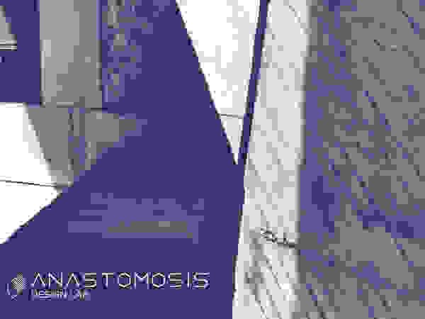 Anastomosis Design Lab
