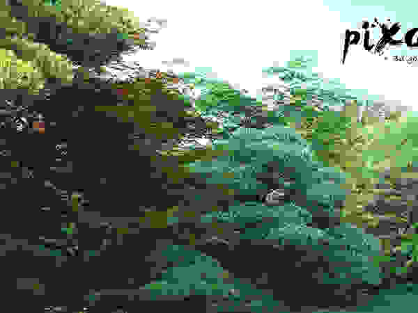 PIXANI STUDIOS