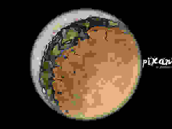 PIXANI STUDIOS