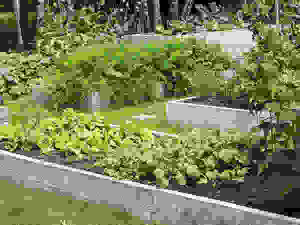 Warzywniki - Betonowe Rabaty Warzywne Garden Plants & flowers