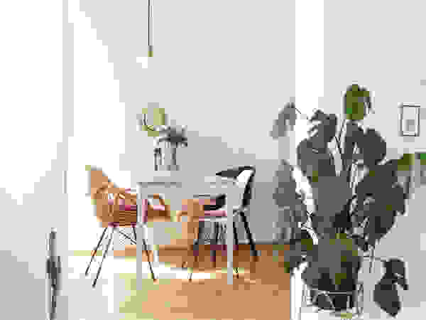 KANOS Design Tropical style dining room Wood Brown