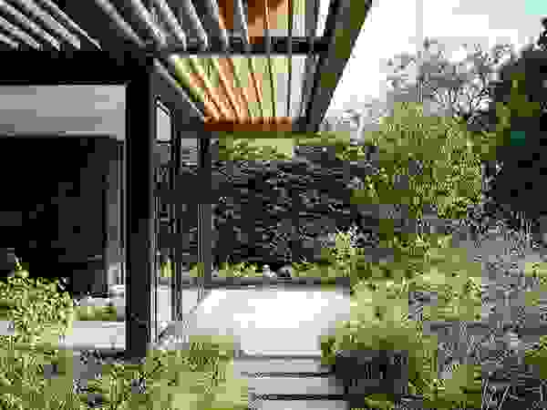 Green Living Ltd Modern garden