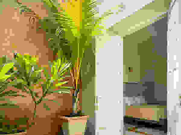 Taller Estilo Arquitectura Rock Garden