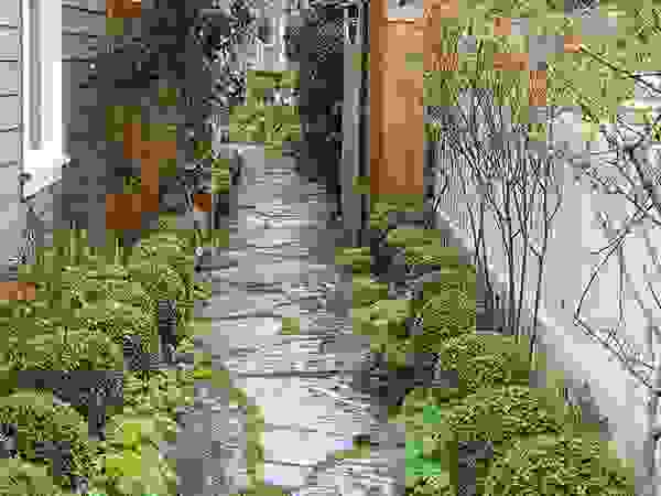 THANH TUNG - HOMIFY Палісадник