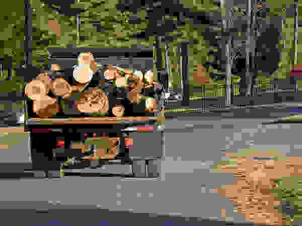 Tree Service Stamford