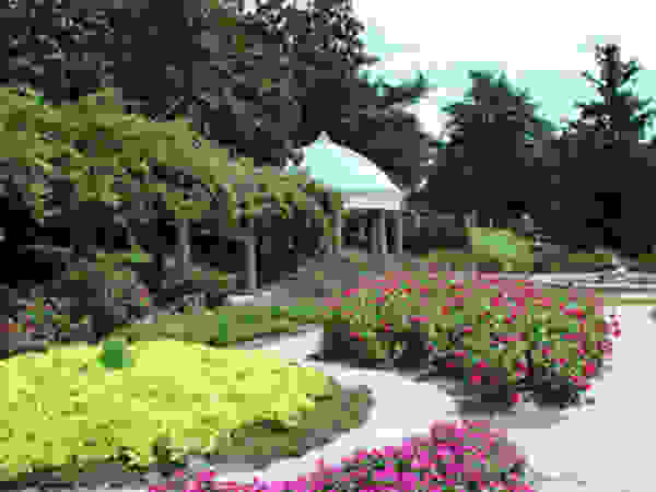 Tree Service Stamford