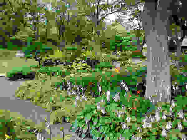 Tree Service Stamford