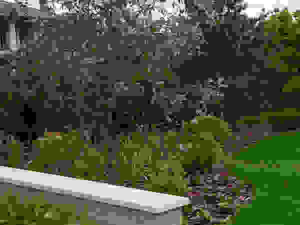 ARCADIA GARDEN Landscape Studio