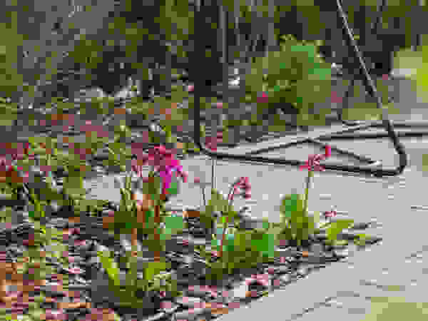 ARCADIA GARDEN Landscape Studio