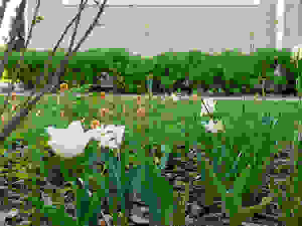 ARCADIA GARDEN Landscape Studio