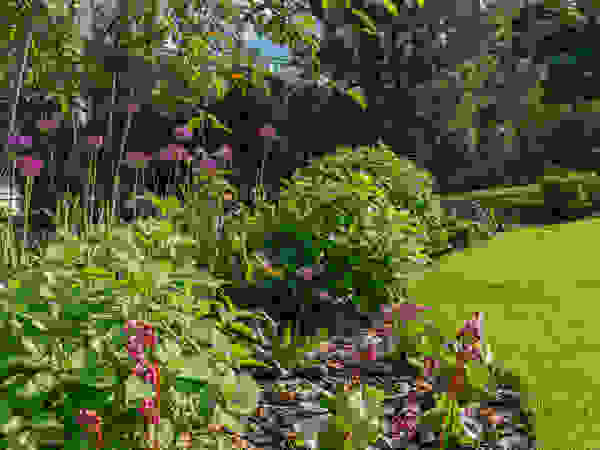 ARCADIA GARDEN Landscape Studio