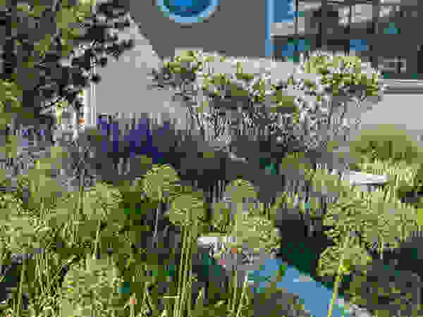 ARCADIA GARDEN Landscape Studio