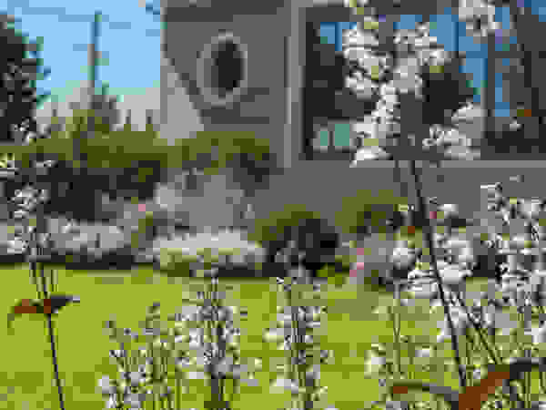 ARCADIA GARDEN Landscape Studio