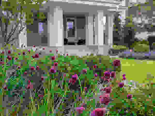 ARCADIA GARDEN Landscape Studio