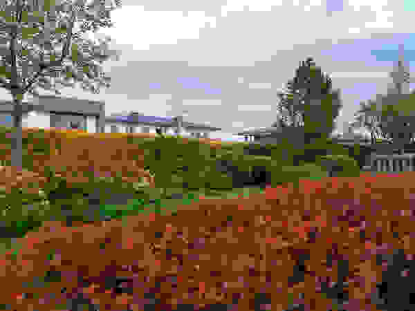 ARCADIA GARDEN Landscape Studio