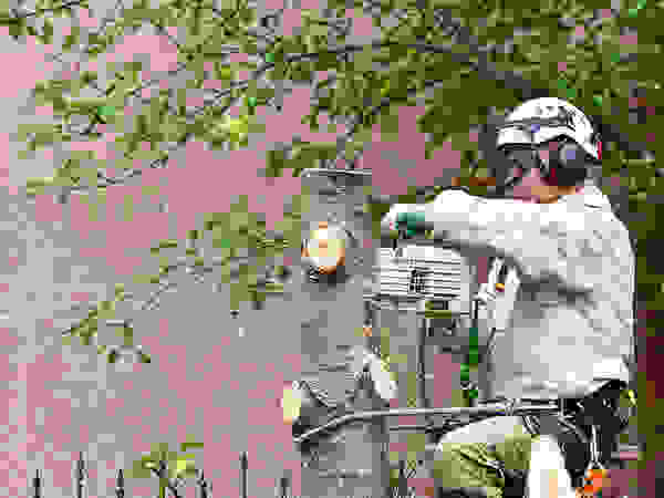 Albby Tree Service
