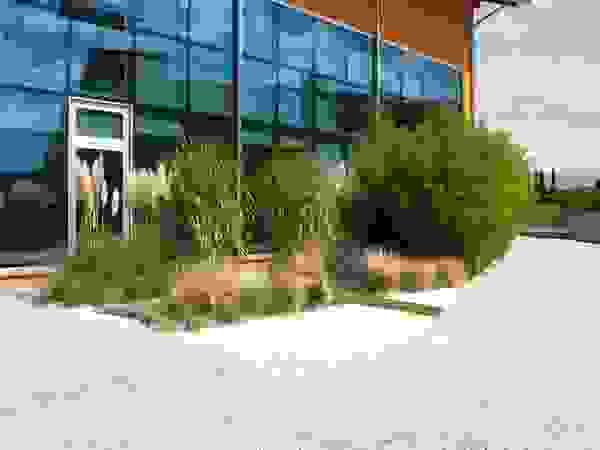 Giambenini srl Garden Plants & flowers
