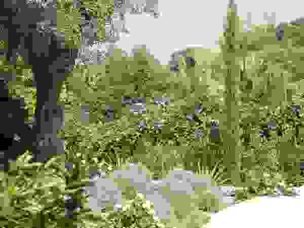 Giambenini srl Garden Plants & flowers