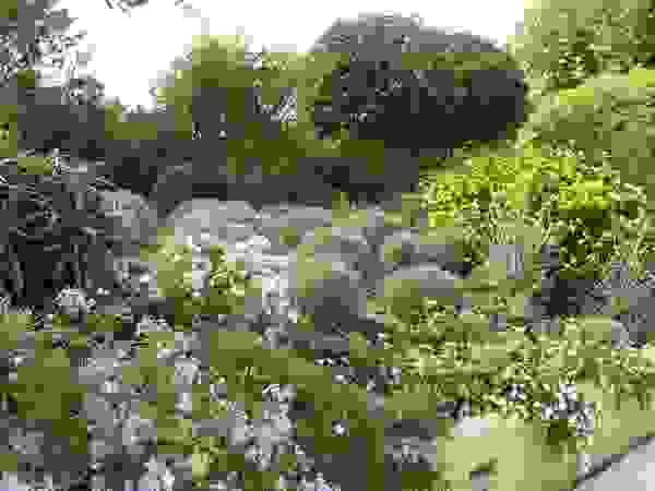 Giambenini srl Garden Plants & flowers